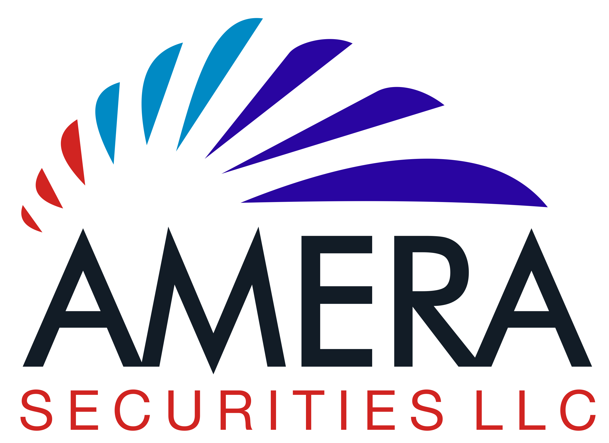 client-focused-capital-raising-services-i-amera-securities-llc